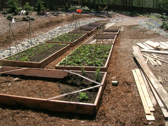 Raised Garden Beds