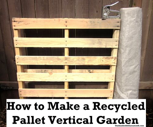 wood pallet garden One Hundred Dollars a Month