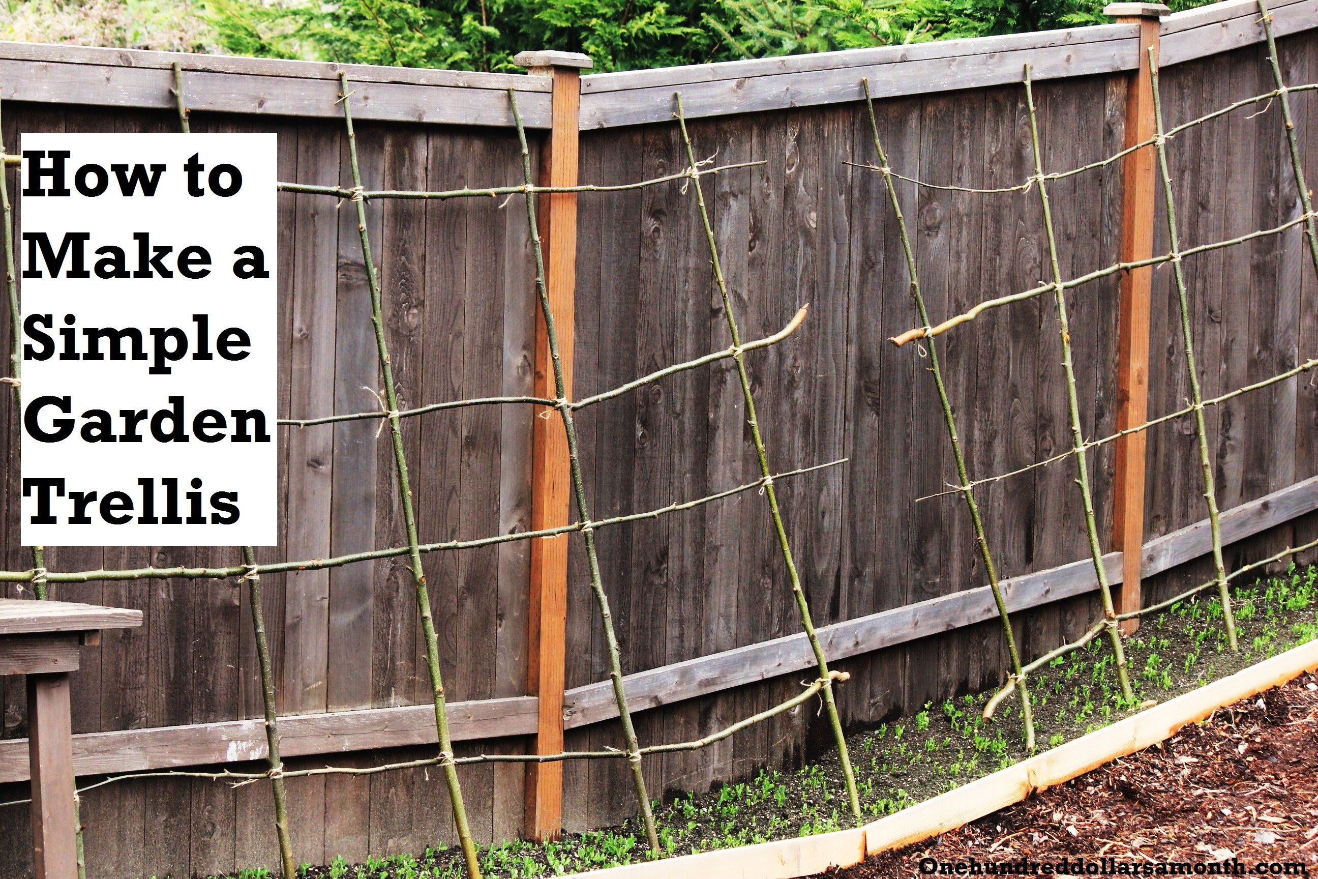 how to make a rustic pea or bean trellis out of sticks