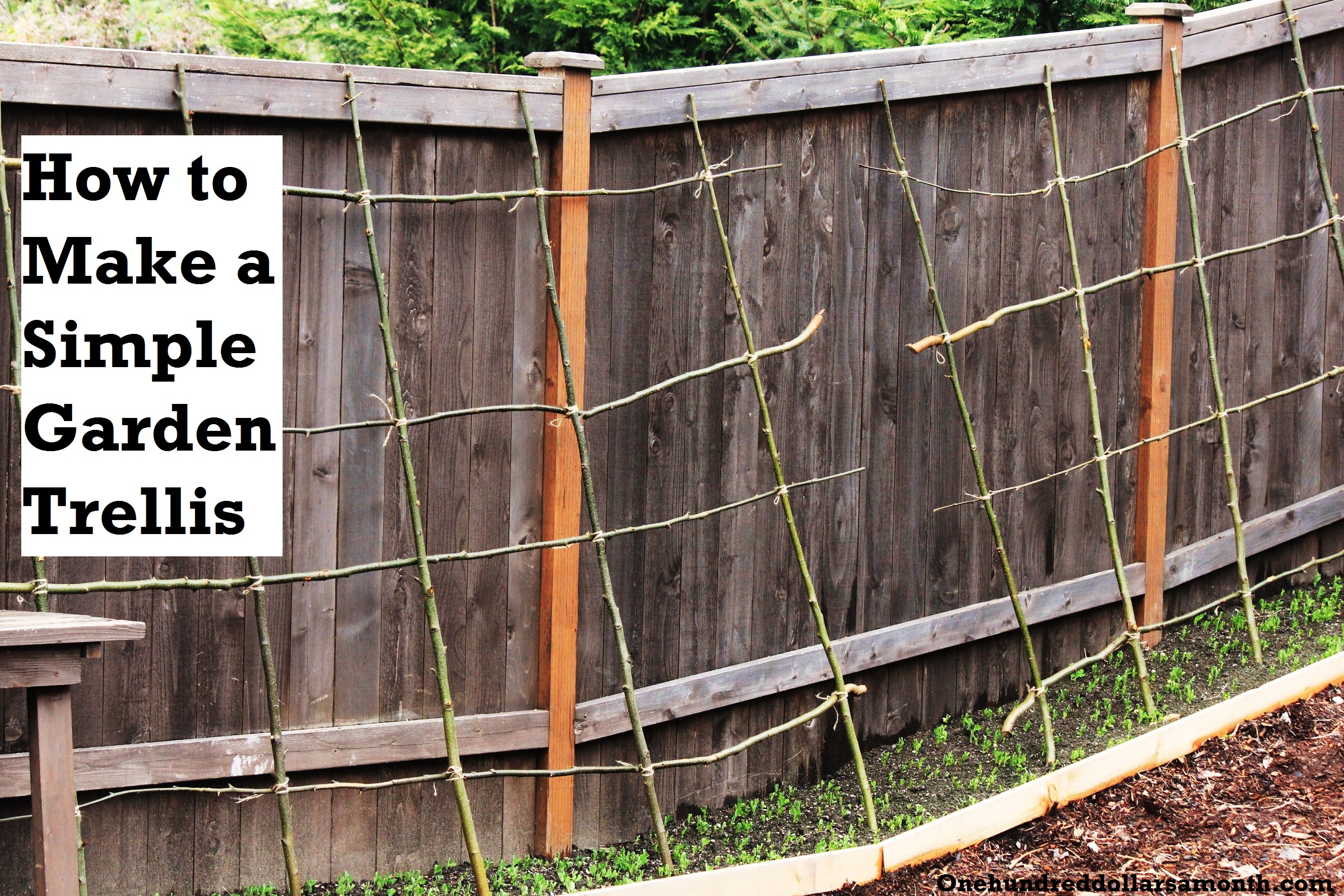 How to Make a Rustic Pea or Bean Trellis Out of Sticks One ...