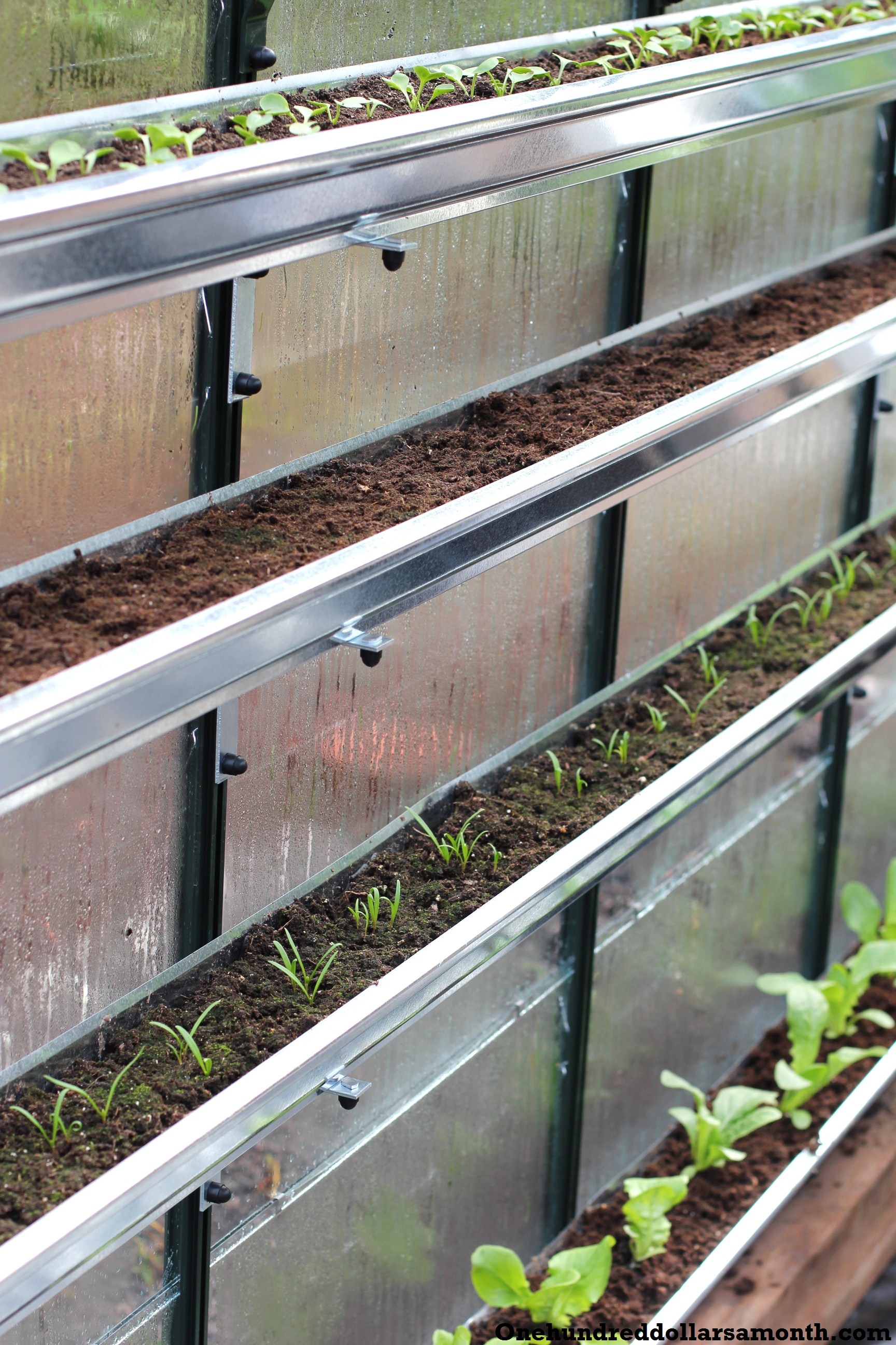 How to Grow Food In a Greenhouse Planting Vegetable Starts