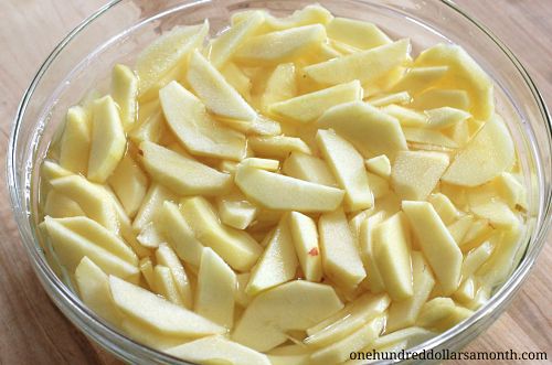 How To Dehydrate Apples With A Food Dehydrator