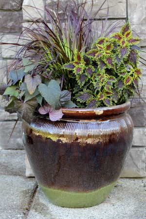 mavis garden blog ideas for summer container gardening mavis garden blog ideas for summer container gardening