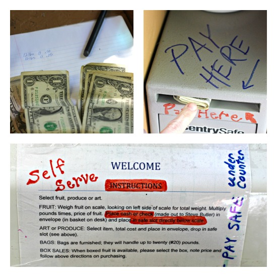 roadside stand pay here money box