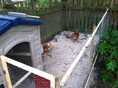Chicken Coop Ideas – Turn a Kids Playhouse into a Chicken Coop