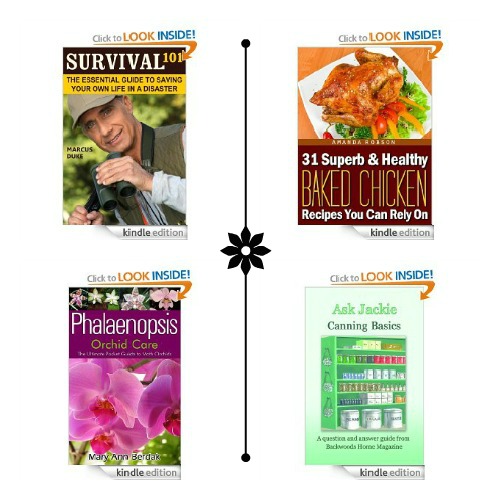 free kindle books