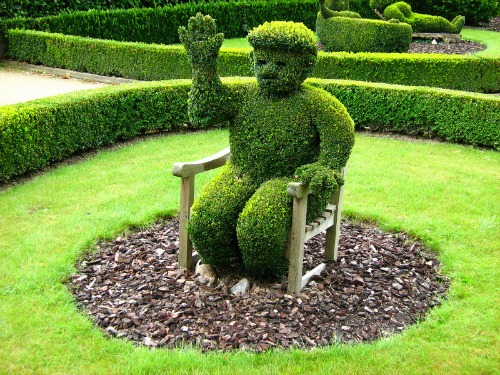 topiary-designs-man-in-chair.jpg