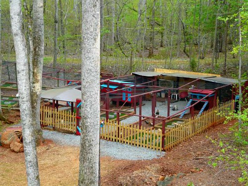 Unique Chicken Coops