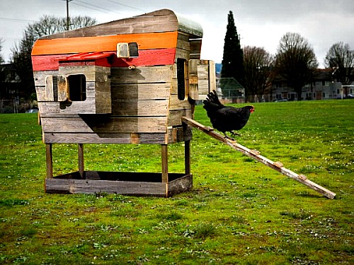 Unique Chicken Coops