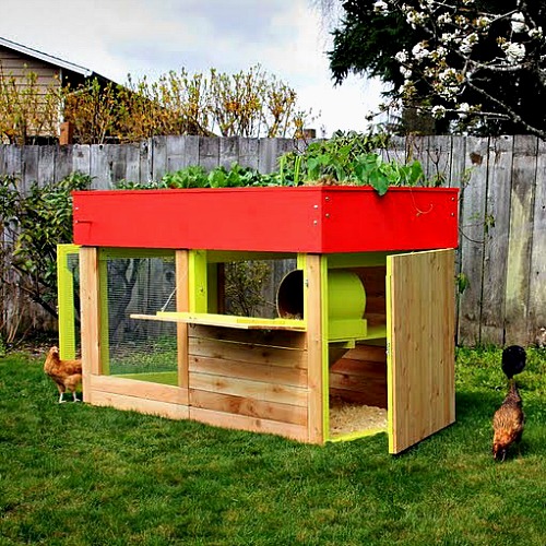 unique-chicken-coops-modern-colorful