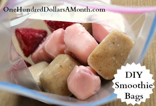 diy fruit and yogurt smoothies bags one hundred dollars a month smoothie in a bag with hefty slider bags 500x338 diy fruit and yogurt smoothies bags one hundred dollars a month smoothie in a bag with hefty slider bags 500x338