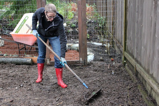 Ask Mavis – How to Maintain a Chicken Coop