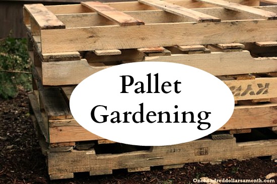 Pallet Gardening 101: Creating a Pallet Garden One Hundred ...