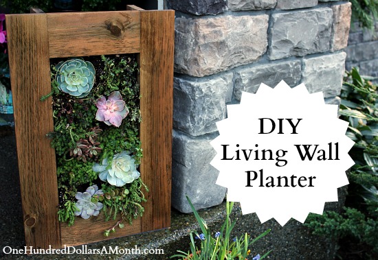 DIY Sedum and Succulent Living Wall Planter | One Hundred Dollars ...