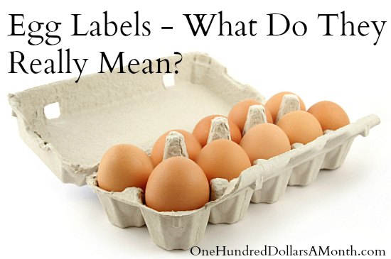 Egg Labels - What Do They Really Mean
