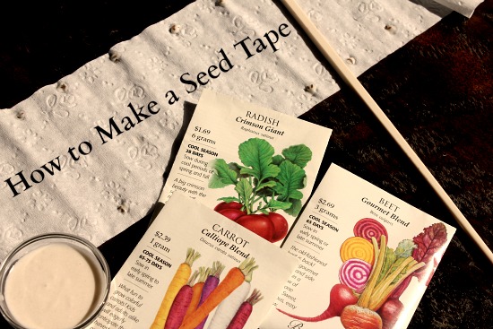 how to make a seed tape