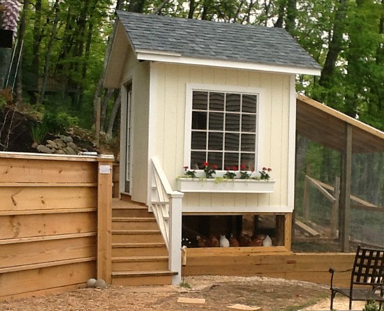Wooden Lowes Chicken Coop Kit PDF Plans