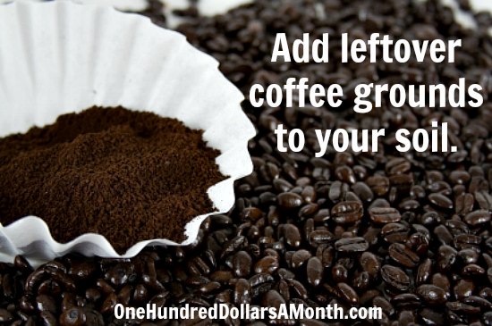 Are Used Coffee Grounds Good For Garden Soil Are Used Coffee Grounds Good For Garden Soil