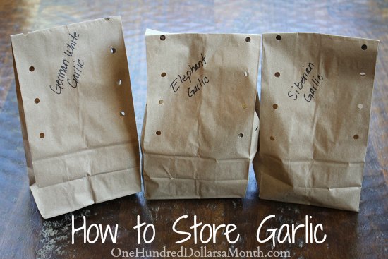 How to Store Garlic