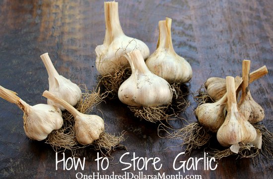 How to Store Garlic