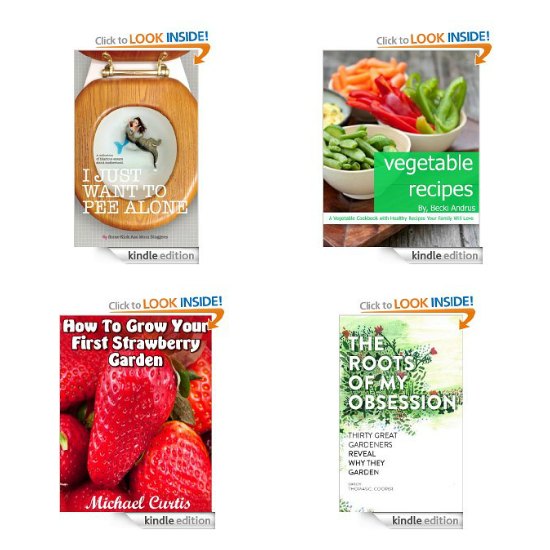 free kindle books