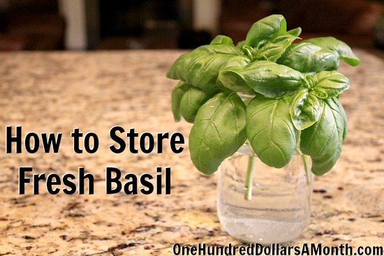 how to store fresh basil one hundred dollars a month how to store fresh basil one hundred dollars a month