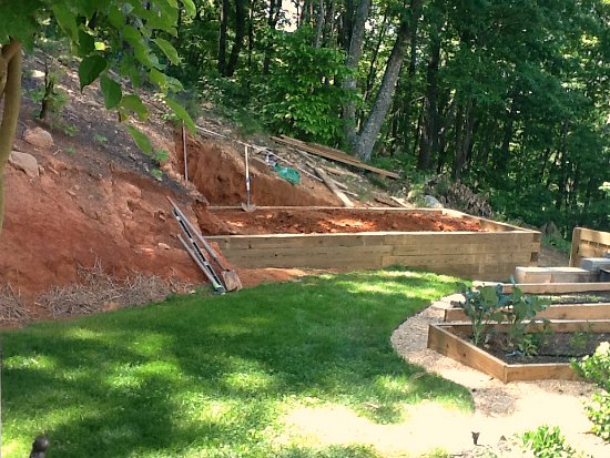 chicken coop designs