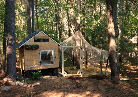 Heather's Chicken Coop Made from Recycled Wood Pallets