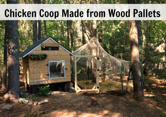 Heather’s Chicken Coop Made from Recycled Wood Pallets