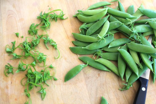 can dogs eat snap peas dig for your dinner growing peas and sweet pea flowers from seed can dogs eat snap peas dig for your dinner growing peas and sweet pea flowers from seed