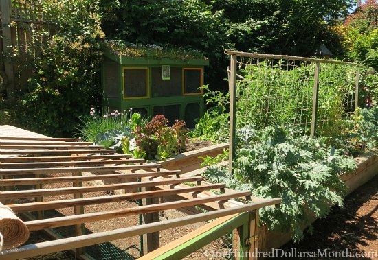 Seattle Chicken Coop and Urban Farm Tour