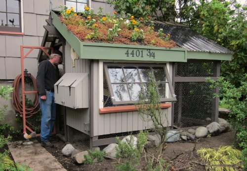 Seattle Chicken Coop and Urban Farm Tour + Tacoma Urban Chicken Coop ...