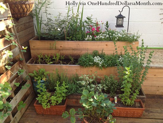 small-space-container-garden. ...