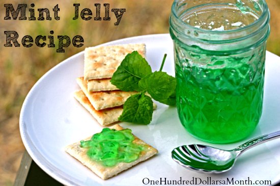 Lamb Recipes: Lamb Recipes With Mint Jelly
