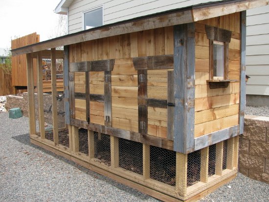 Lisa Turned an Old Dog House into a New Chicken Coop