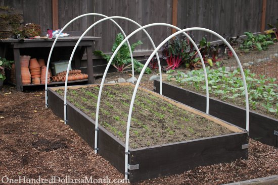 Small Greenhouse Plans Pvc Wooden Sheds Cork