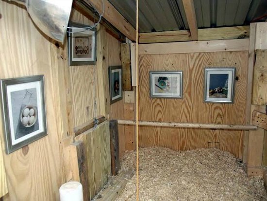 Fancy Chicken Coops Interior Inside chicken coops related keywords ...
