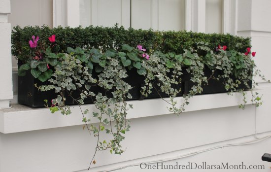 Window Box Designs For Winter