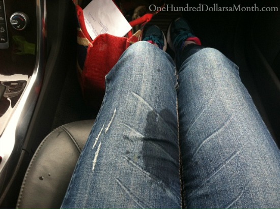 How To Get Pee Out Of Leather Car Seats How To Get Pee Out Of Leather Car Seats