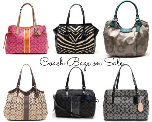 coach wallets japan