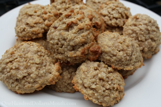 Can I Feed My Dog Oatmeal Cookies Can I Feed My Dog Oatmeal Cookies