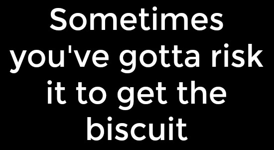 Calvin Klein Clothing Deals, Pumpkin Bread with Crumb ...
