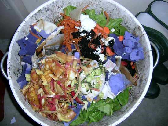 The Compost Report…