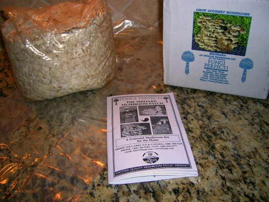 The Mushrooms are Here