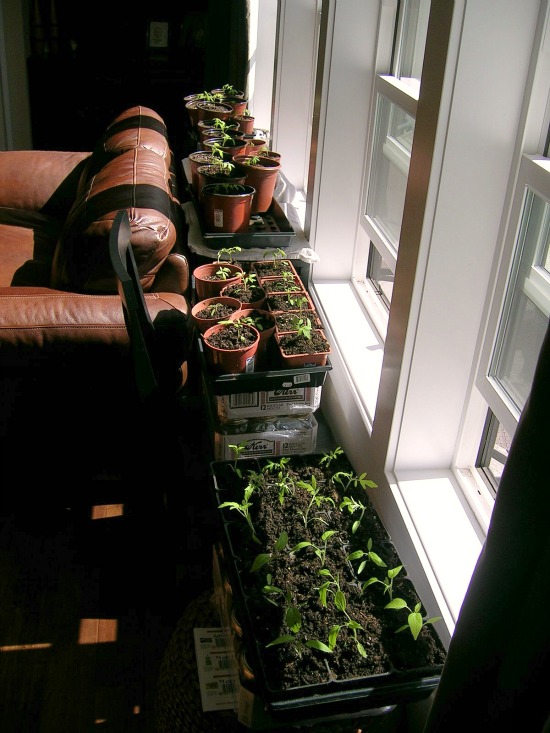 If You Don’t Hear From Me…