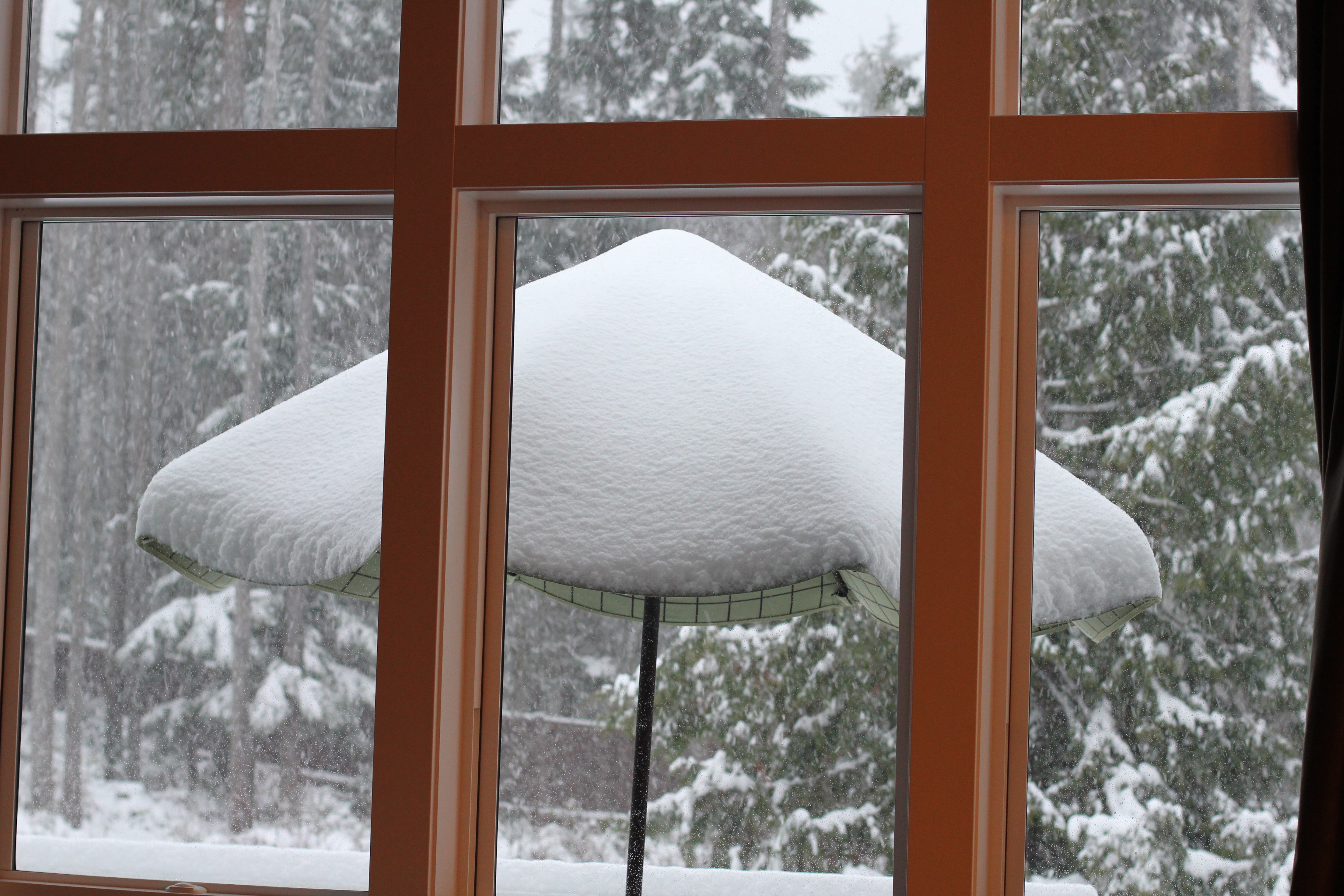 Recipe: How to Make Snow Cone Syrup