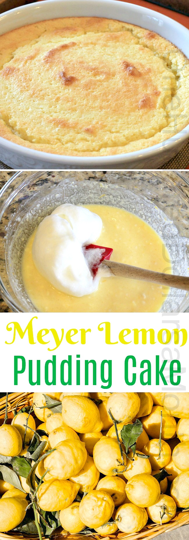 Recipe: Meyer Lemon Pudding Cake