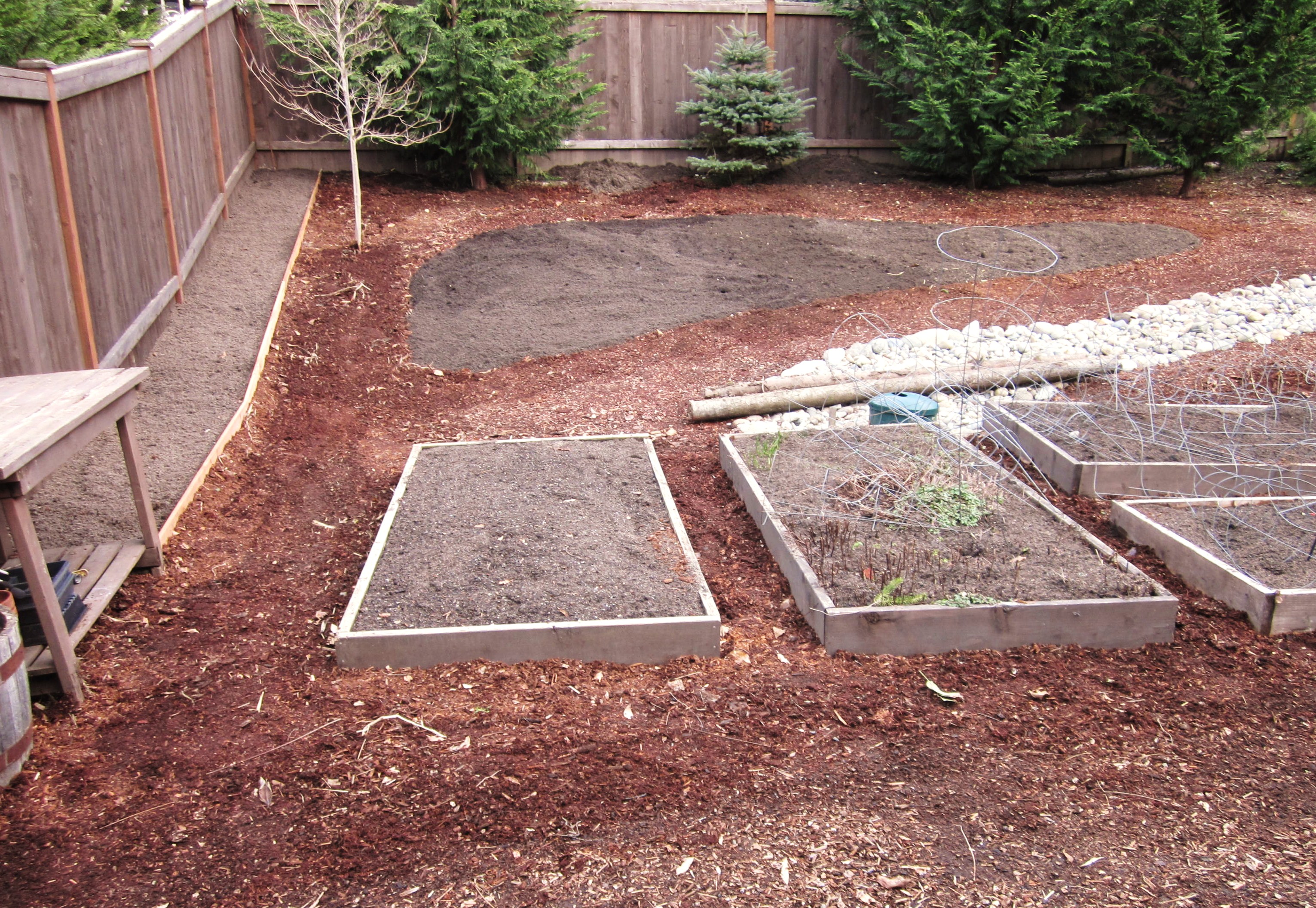 How to Grow Your Own Food: The New Zucchini Patch