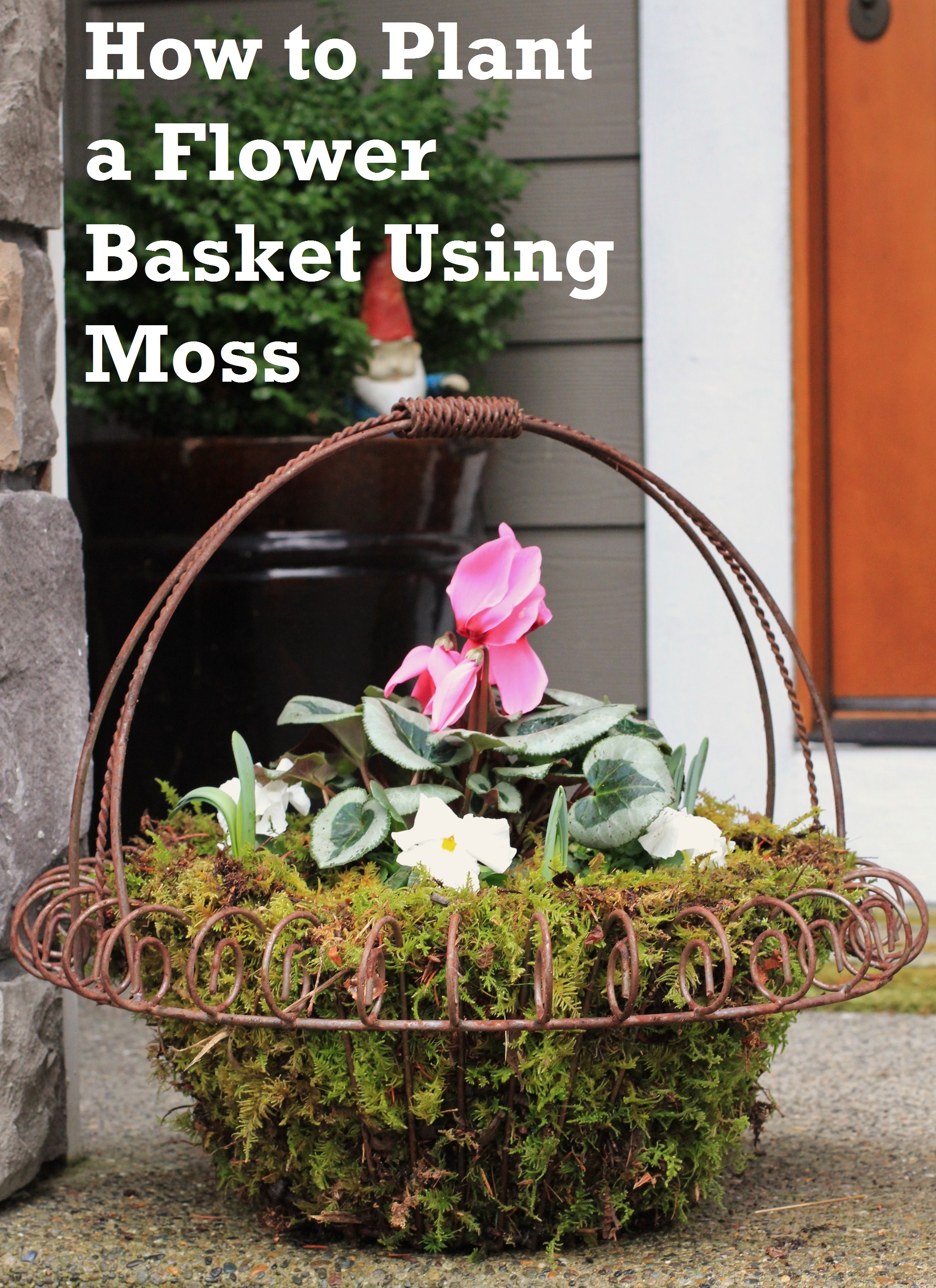 How to Plant a Flower Basket Using Moss