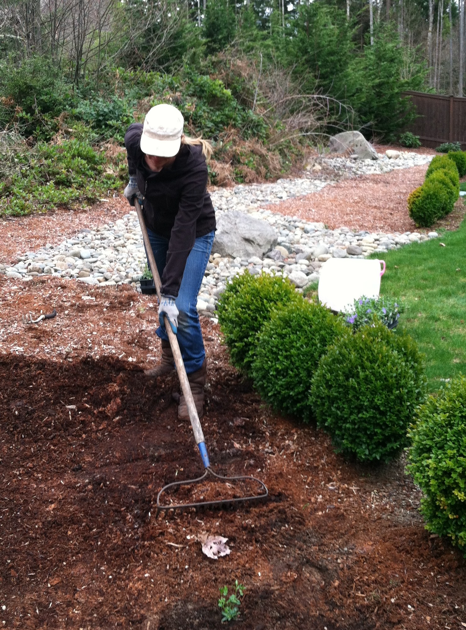 Planting Periwinkle In The Front Yard